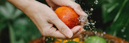 AGRICULTURA E INDUSTRIA DE LA FRUTA