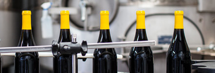 Procesamiento de bebidas, alimentos y productos